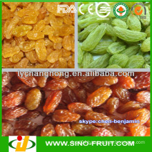 Raisins/names of all dry fruits